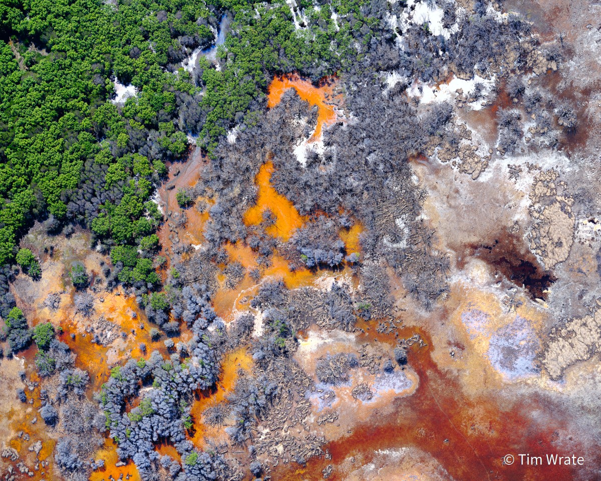 Победитель - Портфолио. "Отмирание мангровых деревьев". Южный Арнем-Ленд, Северная территория, Австралия. Фото: Tim Wrate