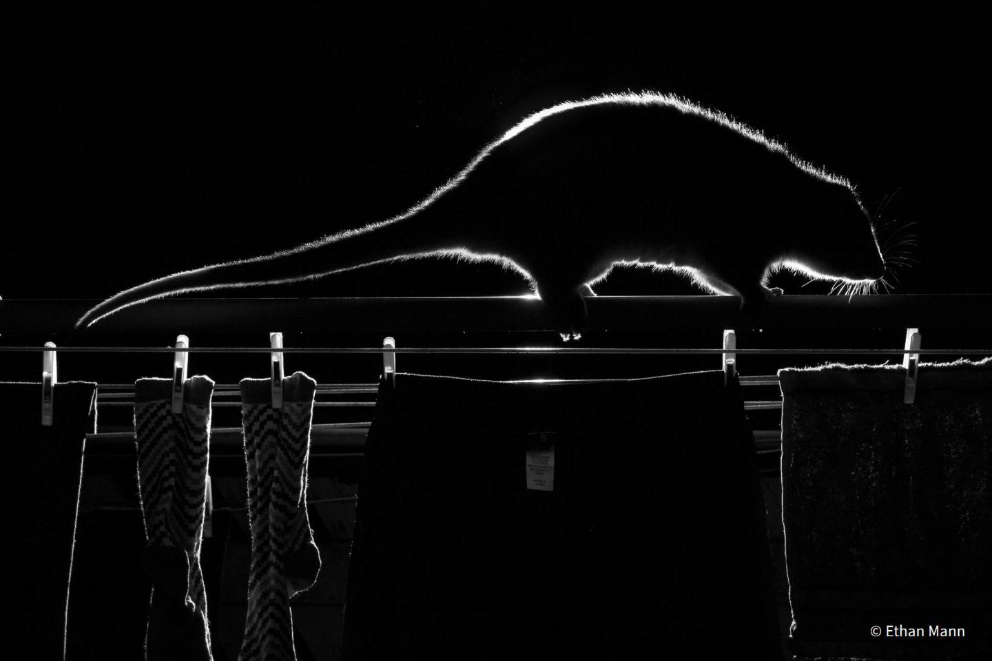 Шорт-лист - Монохромный. "Ночь стирки". Деревня Габи-габи, регион Саншайн-Кост, штат Квинсленд, Австралия. Фото: Ethan Mann