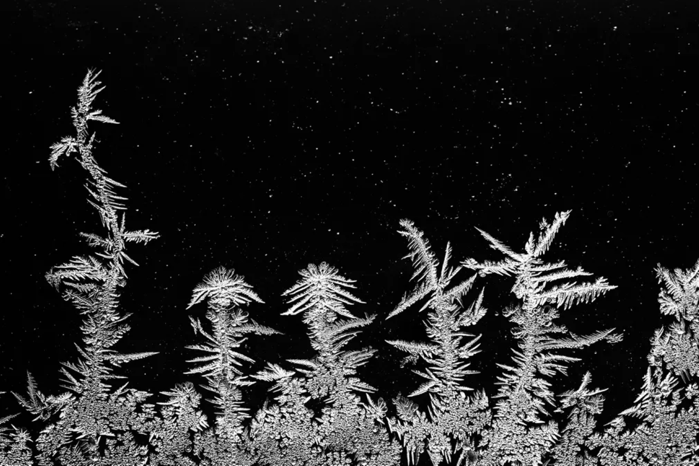 Третье место в категории «Интимные пейзажи». Эти ледяные кристаллы застряли внутри оконного стекла из термопласта холодной ночью, напомнив фотографу «скандинавский пейзаж с соснами и звездным небом». Фото: Edwin Giesbers / CUPOTY