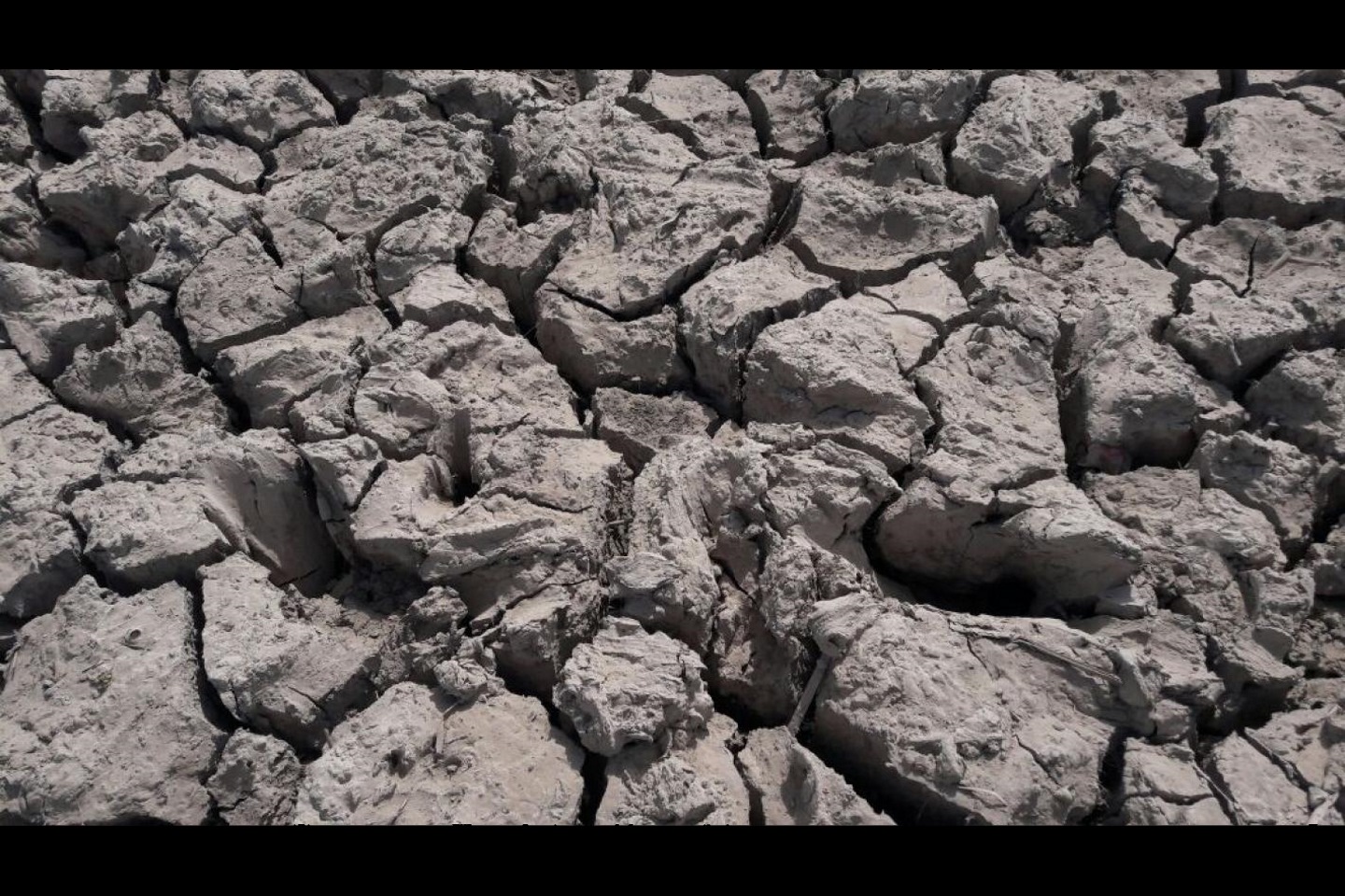 Синдская провинция в Пакистане испытала мрачное сочетание двух последствий изменения климата. «Из-за изменения климата у нас есть или наводнения или недостаточно воды для орошения нашего урожая и кормления наших животных», - говорит фотограф. «Картина ясно показывает, что экстремальная засуха делает широкие трещины в глине. Сельхозкультурам очень трудно расти». Фото: Ризван Дареджо