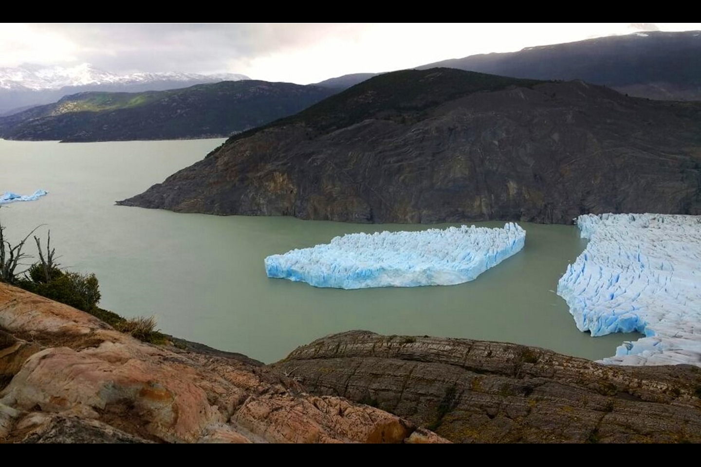 Большой айсберг обрывается с ледника Грей в южной части Чили. Фото: Национальная лесная корпорация Чили (Chile’s National Forest Corporation)
