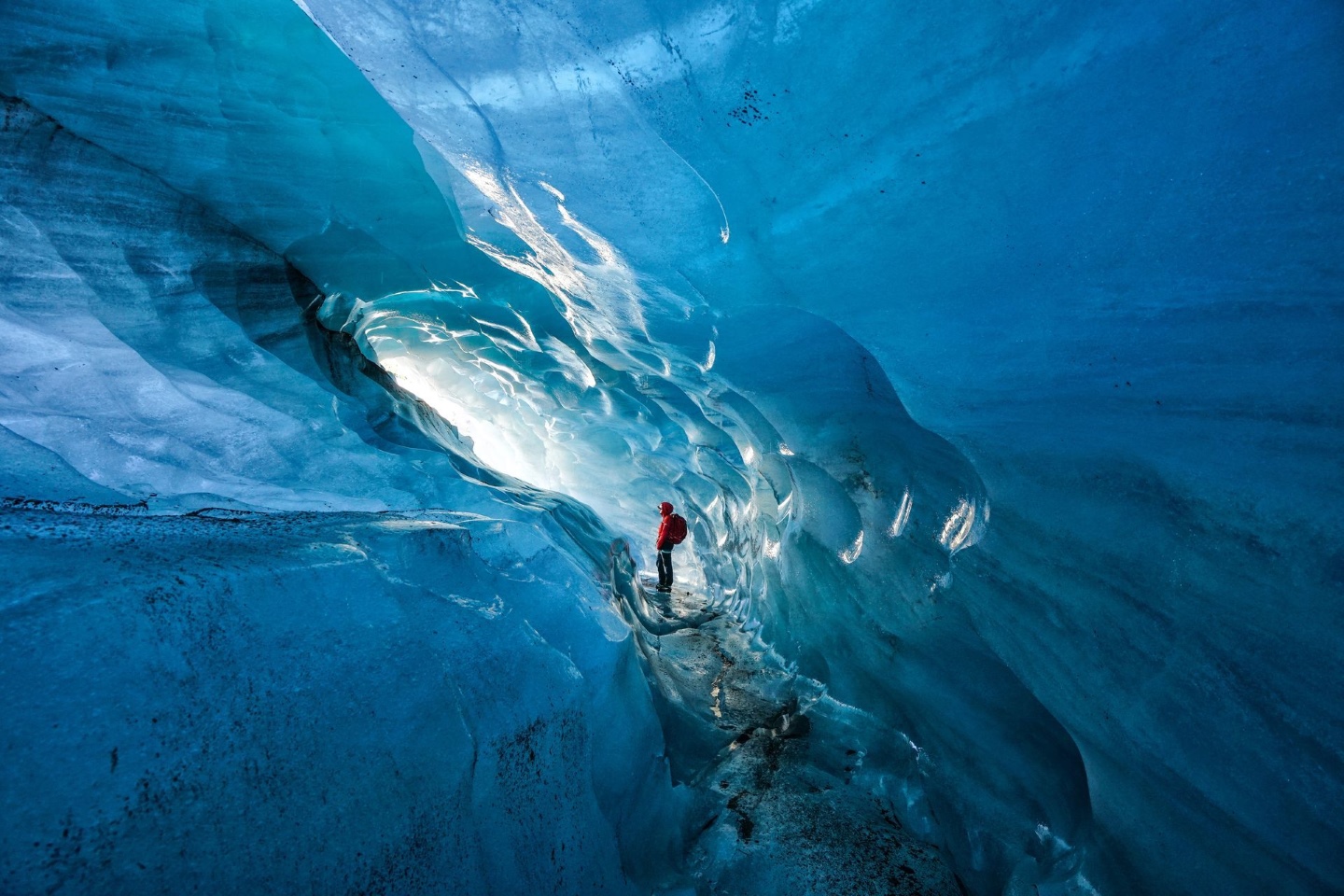 Ханна Петурсдоттир исследует пещеру в леднике Свинафелсйокулль в Исландии, которая, по ее словам, быстро росла. С 2000 года размеры ледников в Исландии сократились на 12 процентов. Фото: Том Шифанелла
