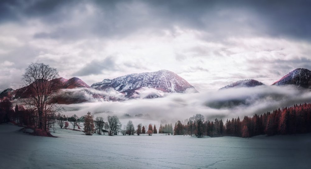 Второе место в категории «Пейзаж» - «Утренний туман». Фото: David Hochleitner