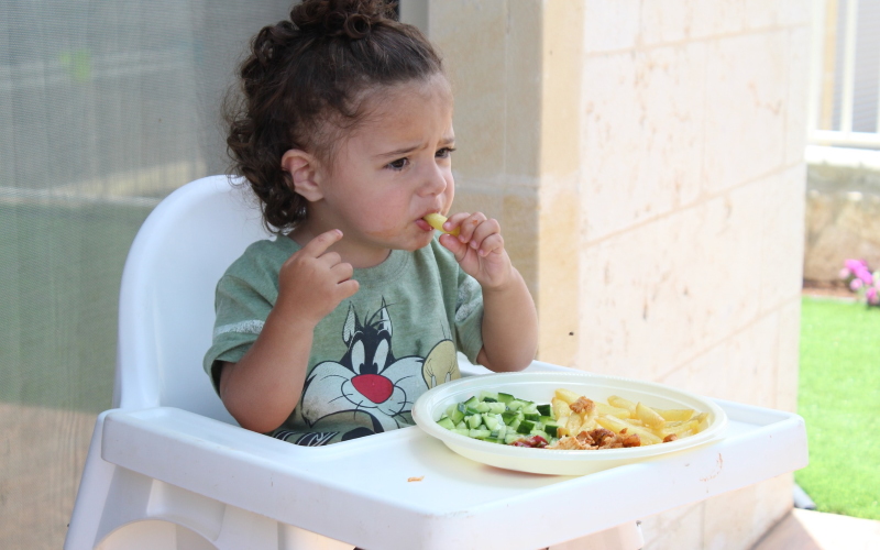Кишечные бактерии не вызывают аутизм. Различия в микробиоме аутичных детей возникают из-за придирчивого питания.