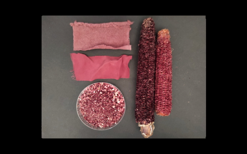 Из отходов производства пурпурных кукурузных чипсов получается натуральный краситель, добавки, и даже наполнитель для кошачьего туалета.