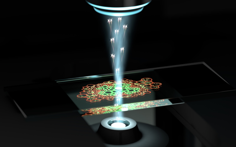 Художественный портрет квантового микроскопа, который использует пары фотонов с квантовыми корреляциями для изображения образцов с более высоким разрешением и менее интенсивным светом.