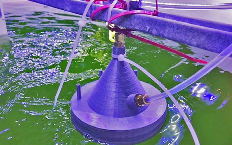 Водоросли, растущие в мелких искусственных водоемах, контролируются с помощью технологии масс-спектрометрии с химической ионизацией.