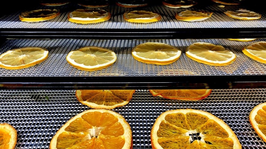 Дольки апельсина, которые были быстро и качественно высушены по новой технологии.