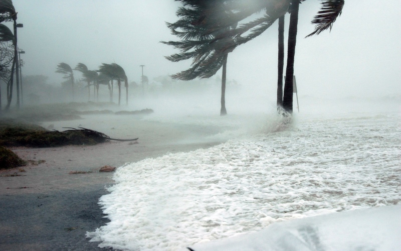 Уменьшая температуру поверхности океана, теоретически человек может остановить ураганы.