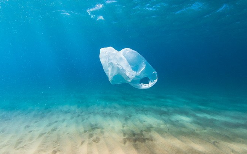 Состав пластика - новый фактор, определяющий его фотохимическую судьбу в океане.