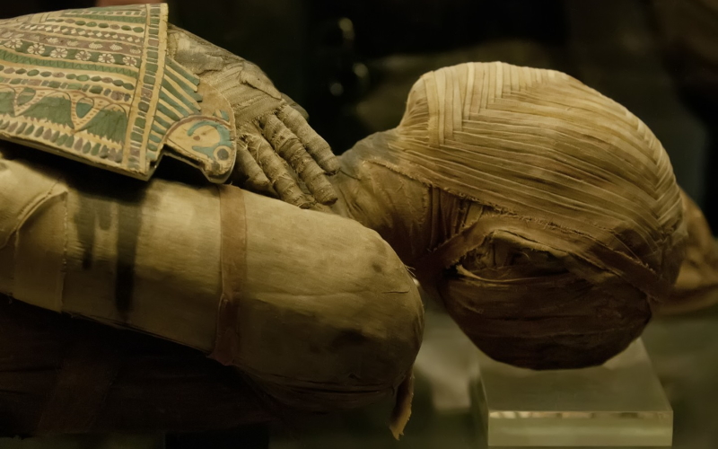 Недавно обнаруженный текст, написанный около 1450 г. до н.э., содержит ранее неизвестные подробности о процессе мумификации в Египте.