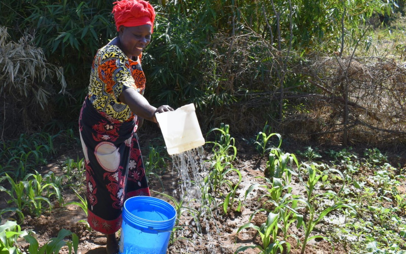 Исследователи из Стэнфорда обнаружили, что установка водопровода возле домов способствует гендерному равенству и улучшает благосостояние в сельских районах Замбии.
