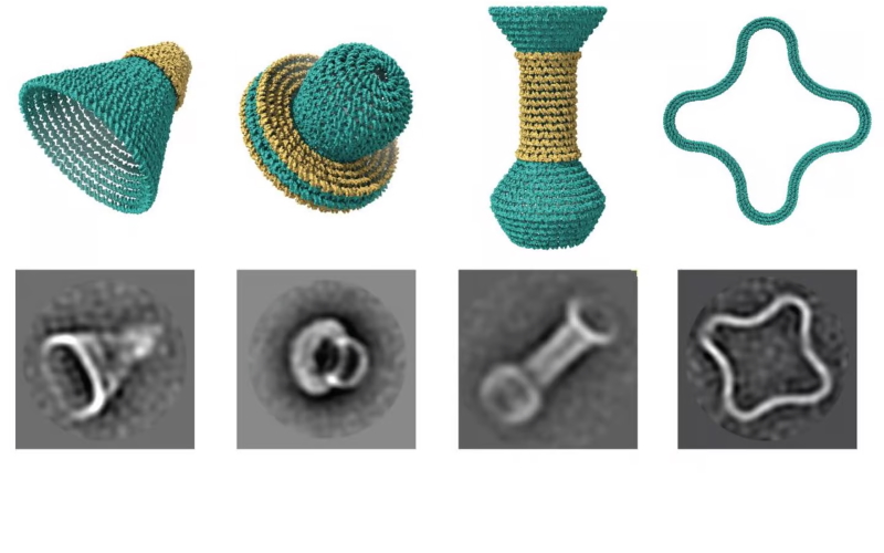 Верхний ряд: 3D-модели различных округлых форм. Нижний ряд: Электронно-микроскопические изображения тех же форм, сделанных с помощью ДНК.