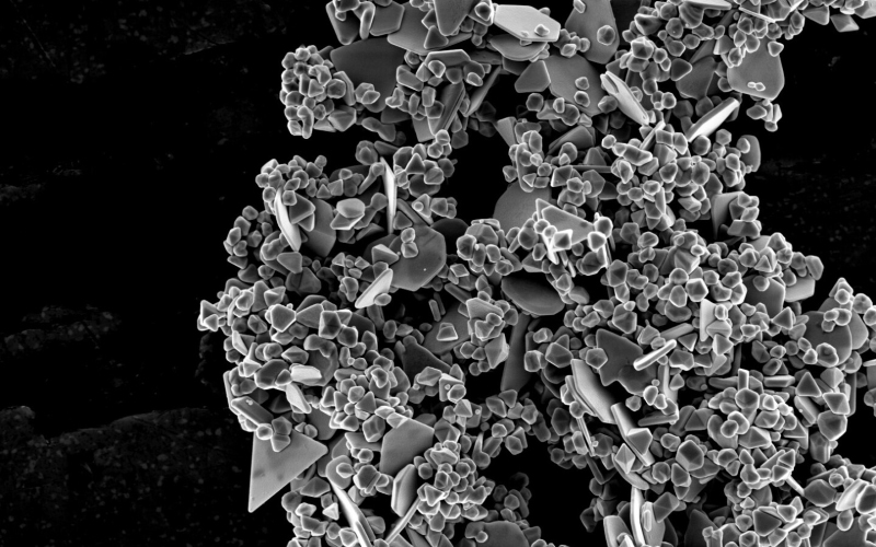 Наночастицы серебра (на фото из другого исследования) обладают антибактериальными свойствами, но их следует использовать с осторожностью.