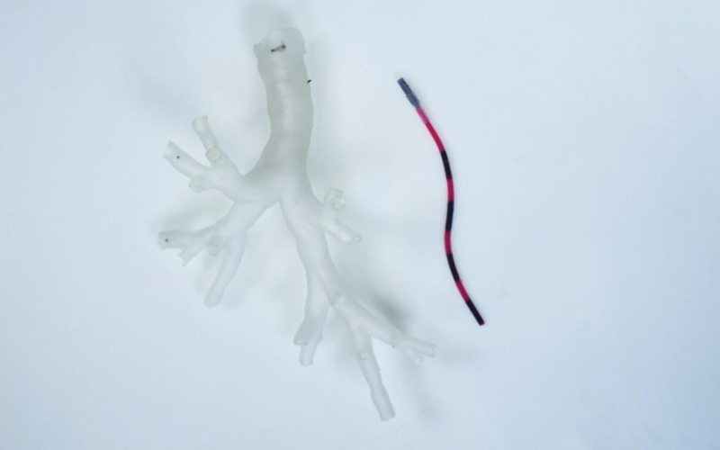 Ученые разработали щупальцеподобного робота с магнитным управлением, который может достигать новых глубин легких.