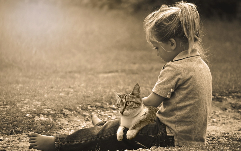 Исследователи из Франции обнаружили, что кошки чаще смотрят на людей и отводят взгляд, чем собаки, которые пристально смотрят на них. Это может сделать кошачьих более подходящими домашними животными для детей с аутичным спектром, которые могут испытывать стресс при постоянном зрительном контакте.